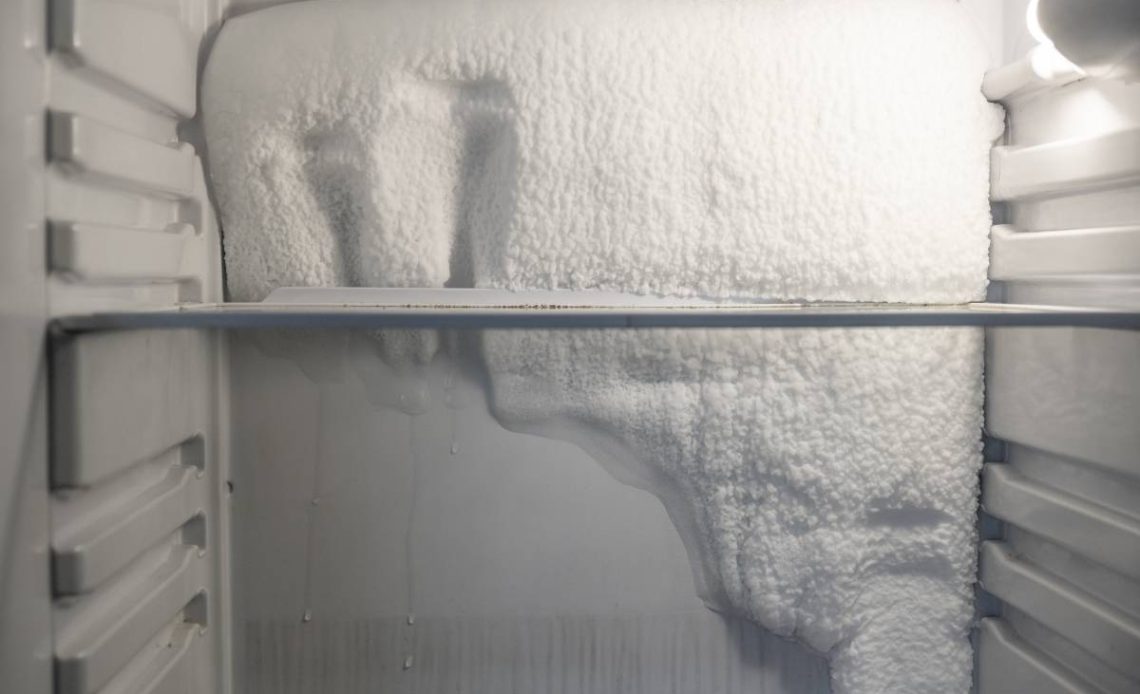 námrazy v chladničke